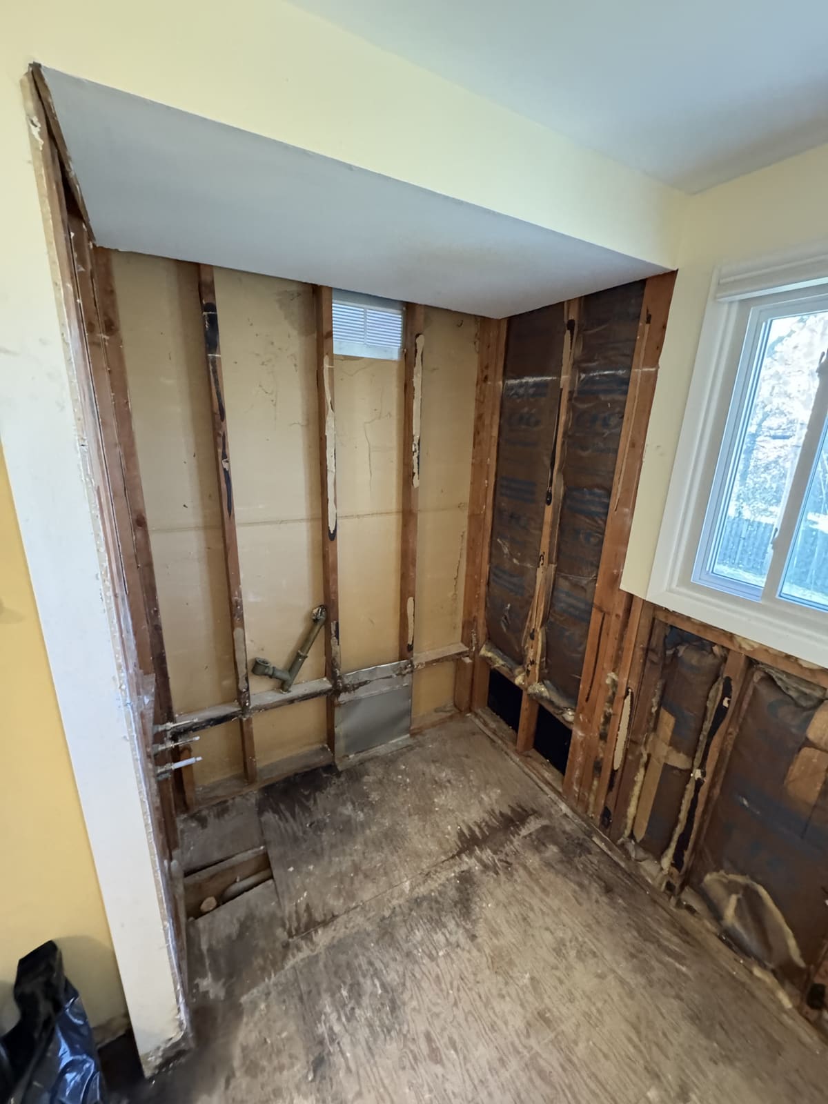 Room stripped to the studs with drywall and finishes removed